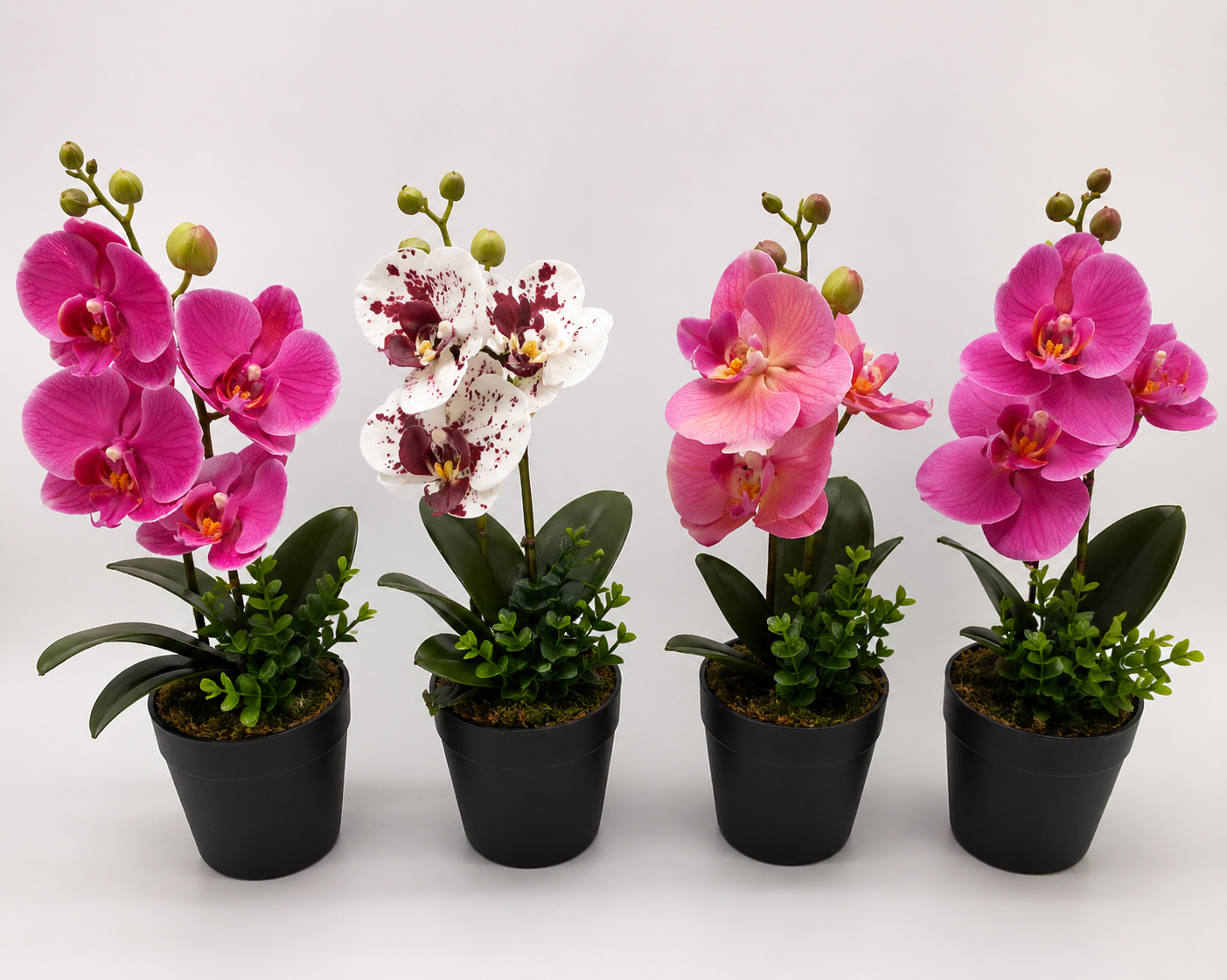 Mini Artificial Orchid Plants