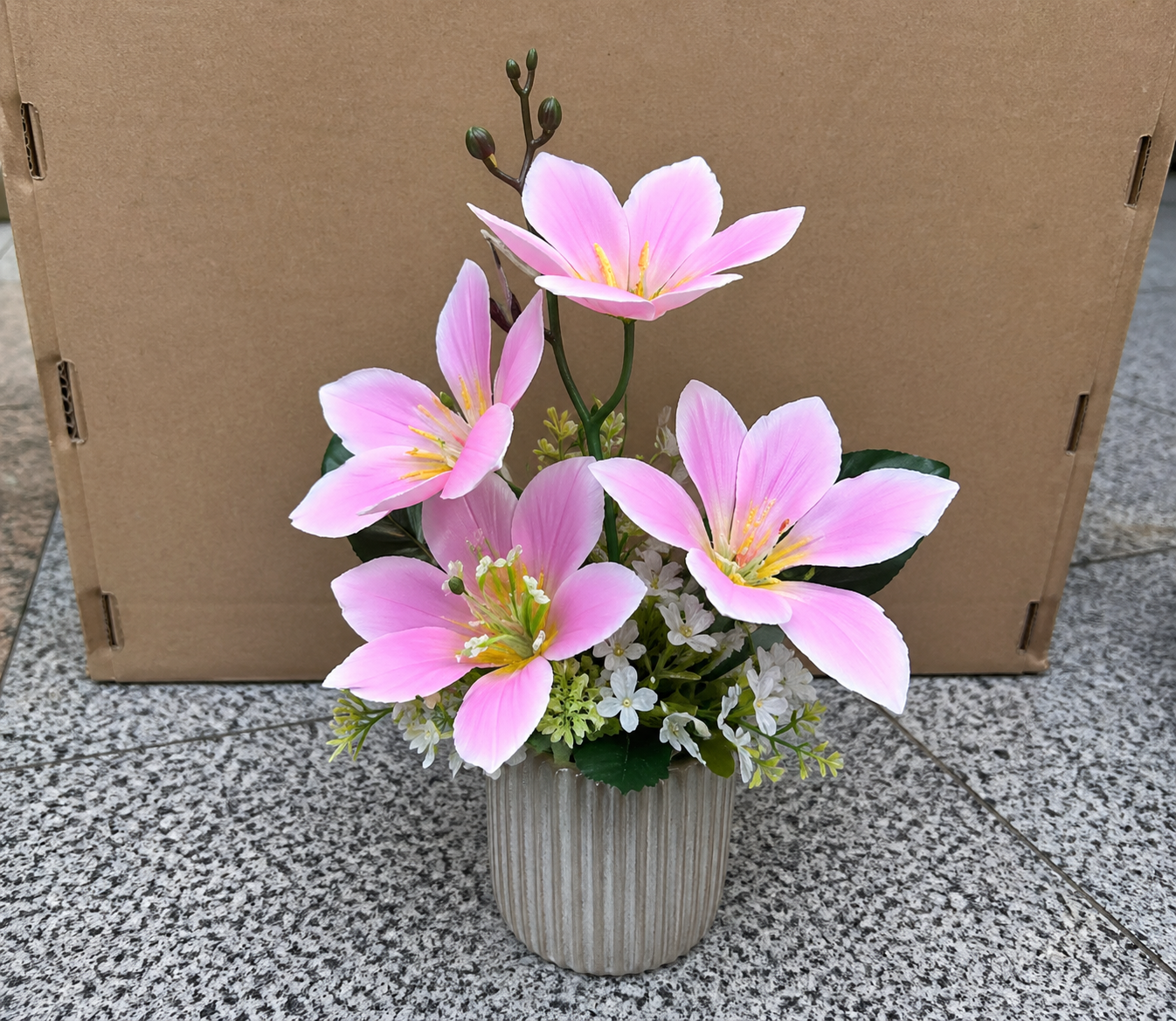 orchid